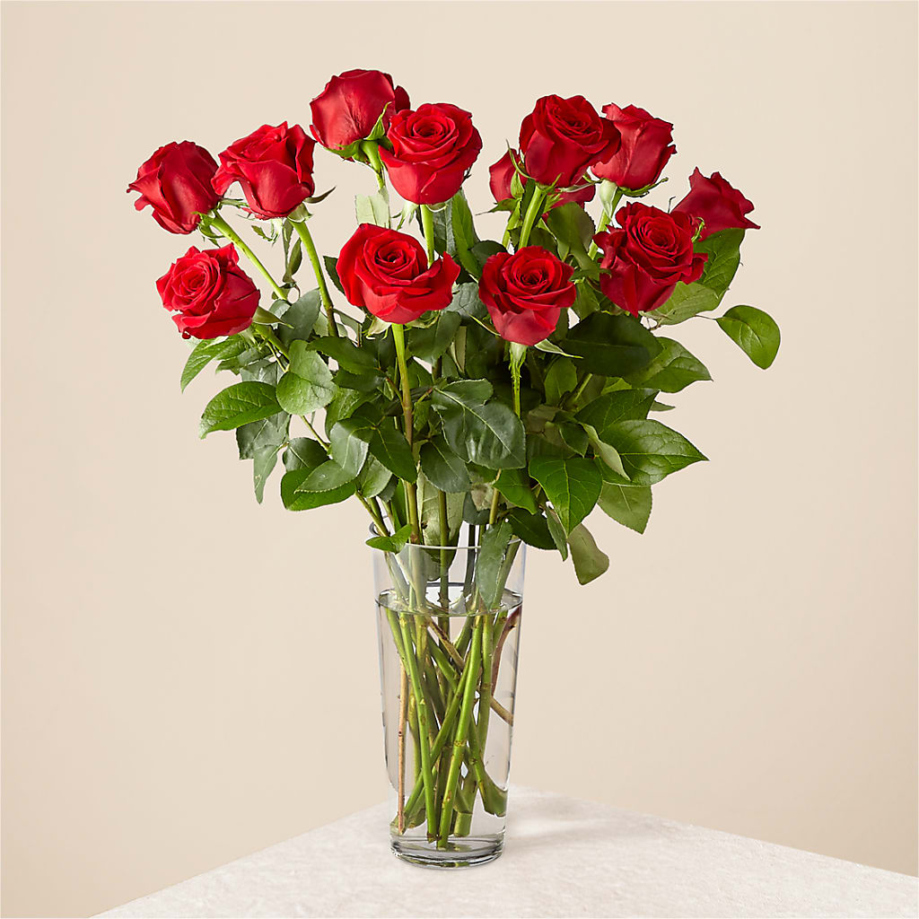 Long Stem Red Rose Bouquet – FLOWERSDYY, Hendersonville TN