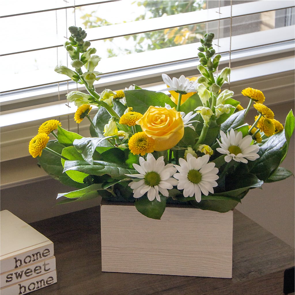 Sun Salutation Box Bouquet – FLOWERS D & Y, Hendersonville TN