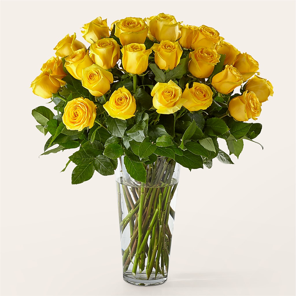 Long Stem Yellow Rose Bouquet – Flowersdyy, Hendersonville TN