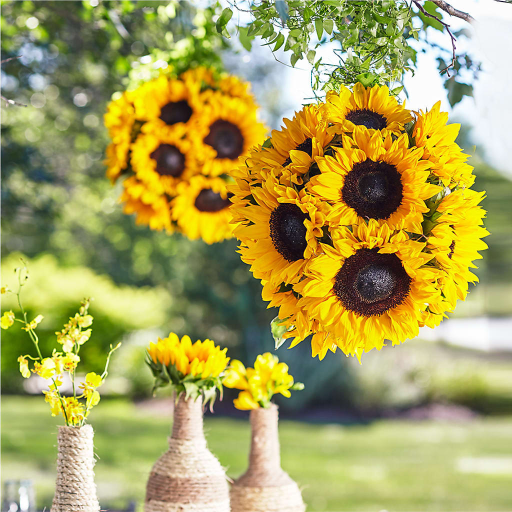 Sublime Garden Hanging Arrangement – Flowersdyy, Hendersonville TN