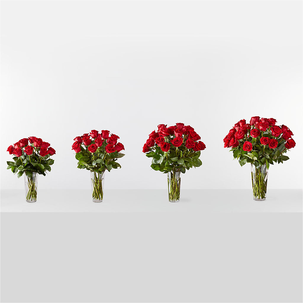 Long Stem Red Rose Bouquet – FLOWERS D & Y, Hendersonville TN