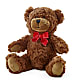 Adorable Plush Bear – FLOWERSDYY, Hendersonville TN