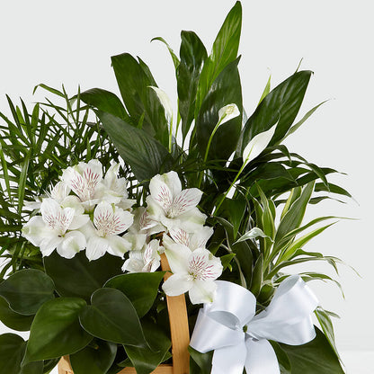 Peace & Serenity Dishgarden – FLOWERS D & Y, Hendersonville TN