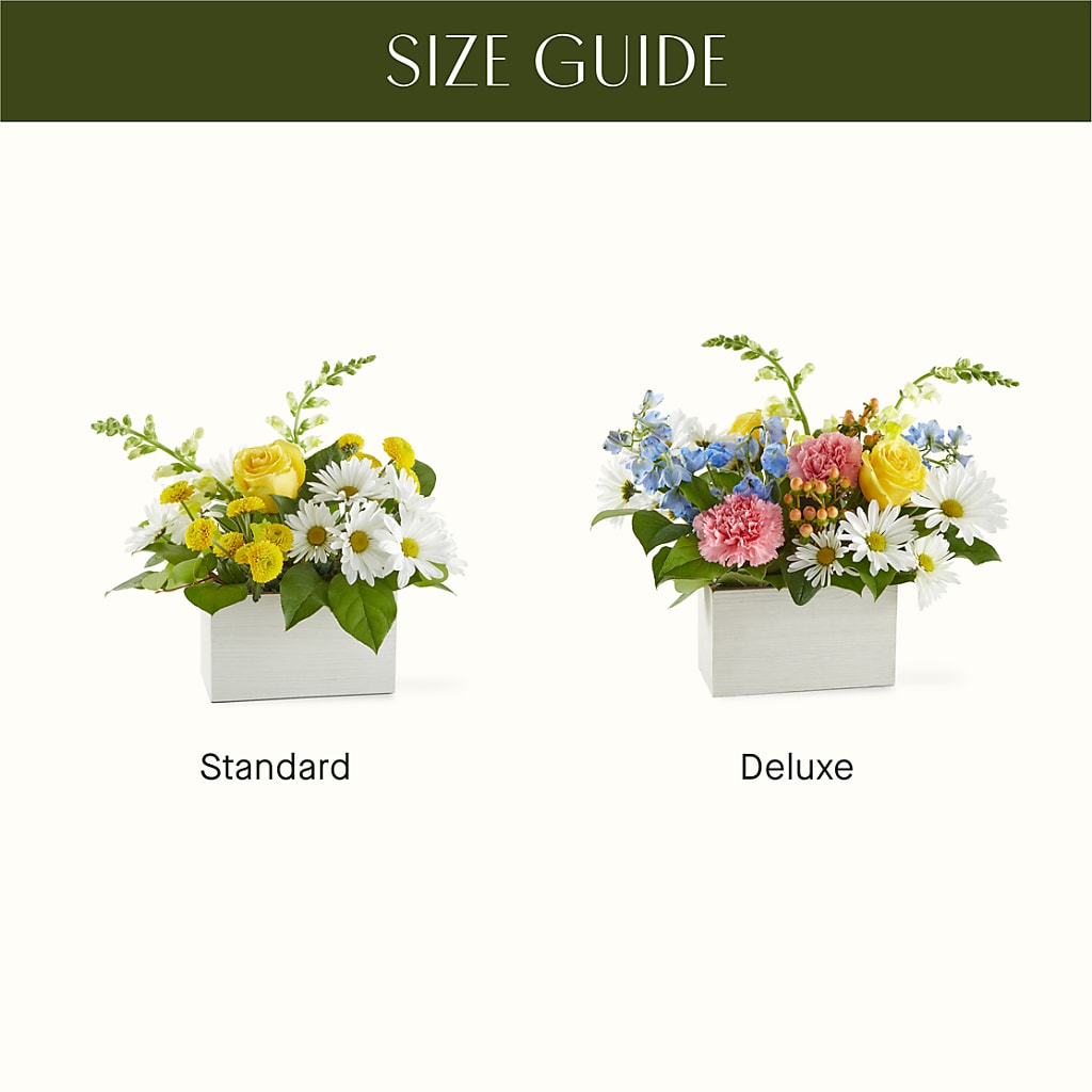 Sun Salutation Box Bouquet – FLOWERS D & Y, Hendersonville TN
