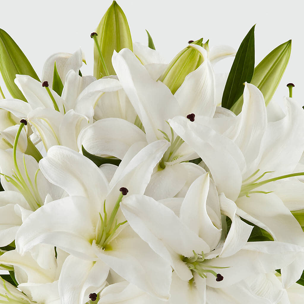 Faithful Blessings Bouquet – FLOWERS D & Y, Hendersonville TN