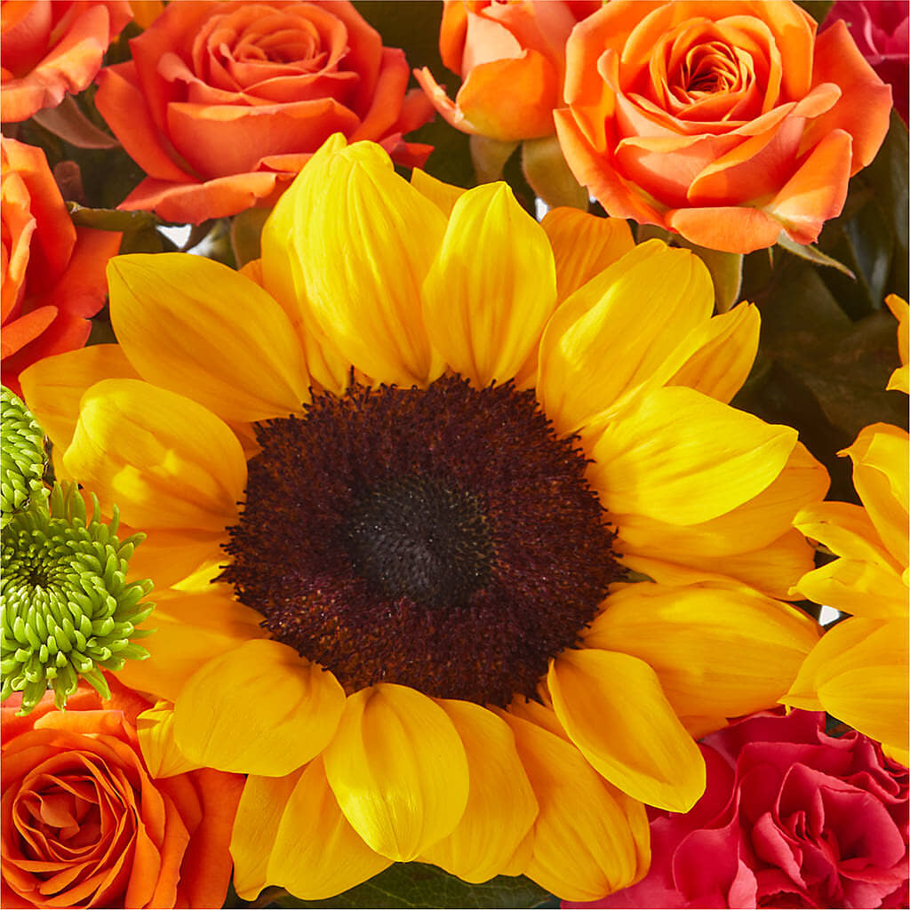 Sun-drenched Blooms Box Bouquet – FLOWERS D & Y, Hendersonville TN